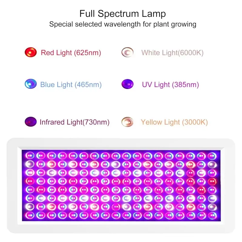 2026 Latest UV Light Box for S - Resin Printer ulasan dan harga